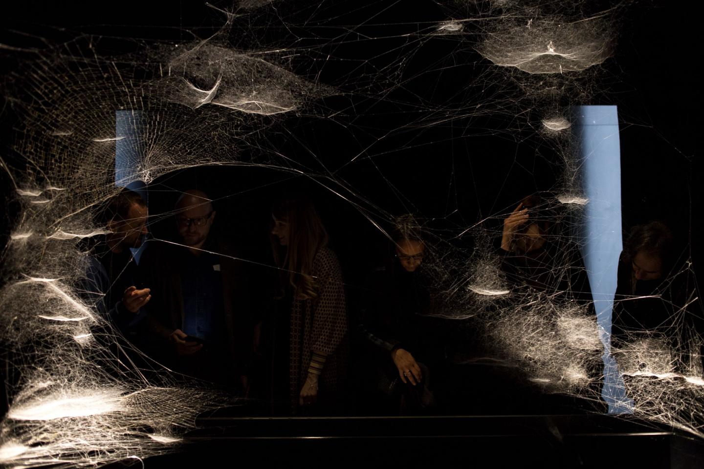 Tomás Saraceno, Spider/Web Pavilion 7: Oracle Readings, Weaving Arachnomancy, Synanthropic Futures: At-ten(t)sion to invertebrate rights!, 2019. Mixed media. © Francesco Galli. Courtesy: La Biennale di Venezia
