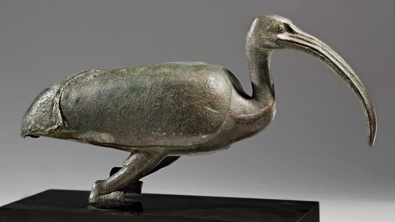 STATUE REPRÉSENTANT UN IBIS  Art égyptien, Période Ptolémaïque, IIIe - Ier s. av. J.-C.  Bronze  L : 34 cm
