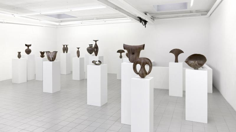 ©Annik Wetter et Galerie Sébastien Bertrand 