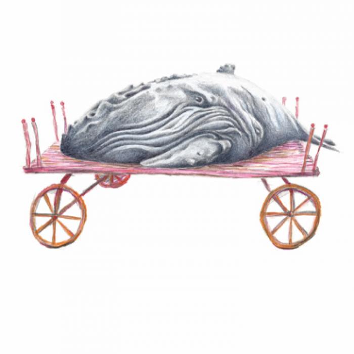 Baleinoïde de Sylvie Mermoud & Pierre Bonard