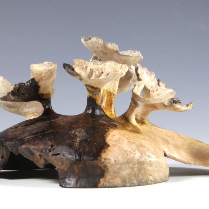 Renaud Robin_Mansarde de Veyrier