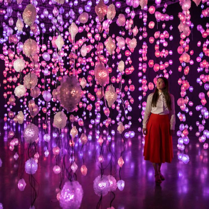 Pipilotti Rist, Pixel Forest, 2016. Vue de l’installation 'Pipilotti Rist: Sip my Ocean', Musée d’Art contemporain de Sydney, Australie, 2017. Photo : Anna Kucera.  Avec l’aimable autorisation de l’artiste, Hauser & Wirth et Luhring Augustine.