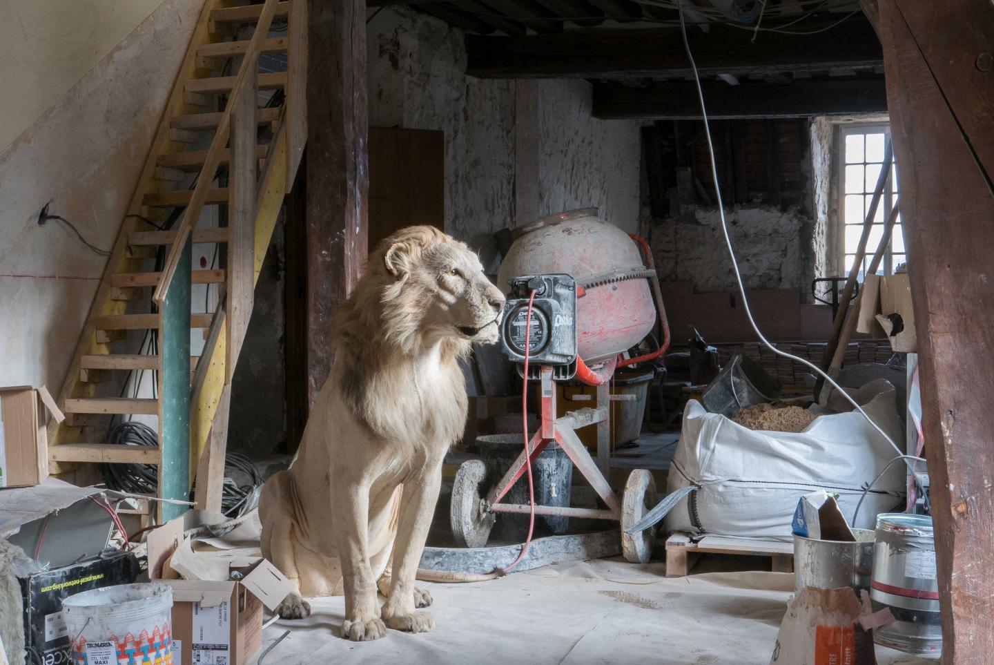 © Béatrice Hatala, musée de la Chasse et de la Nature, Paris, 2020.