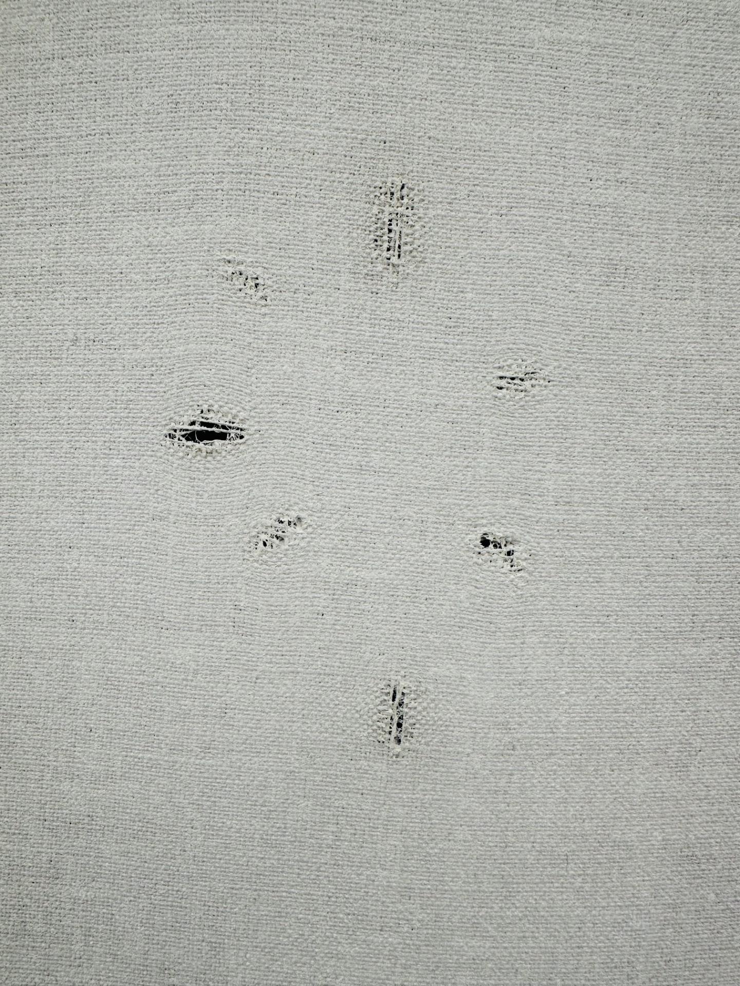 Pierre André Ferrand, Détail - SKOPIA @AAG
