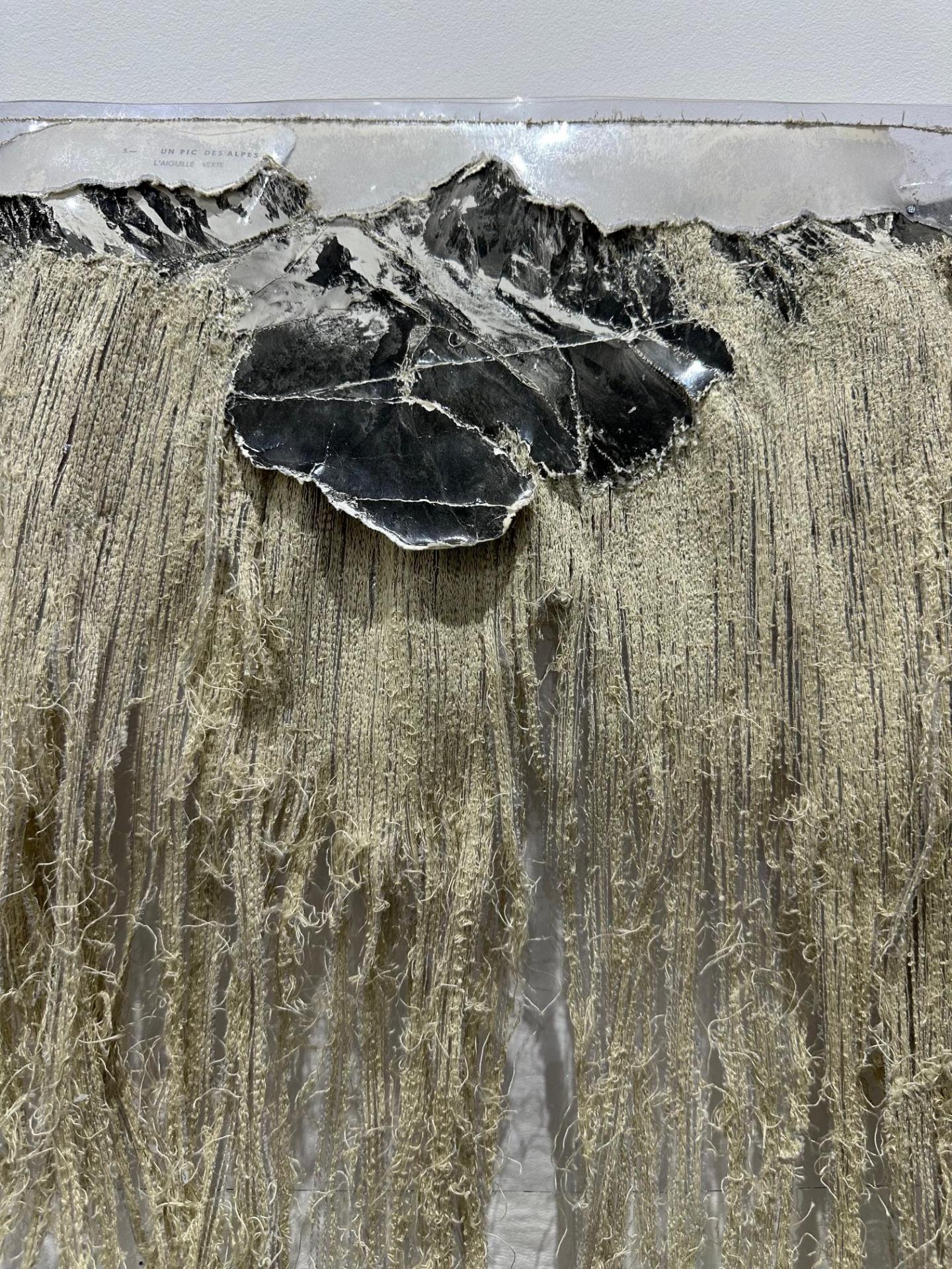 Catherine Boch Galerie papillon