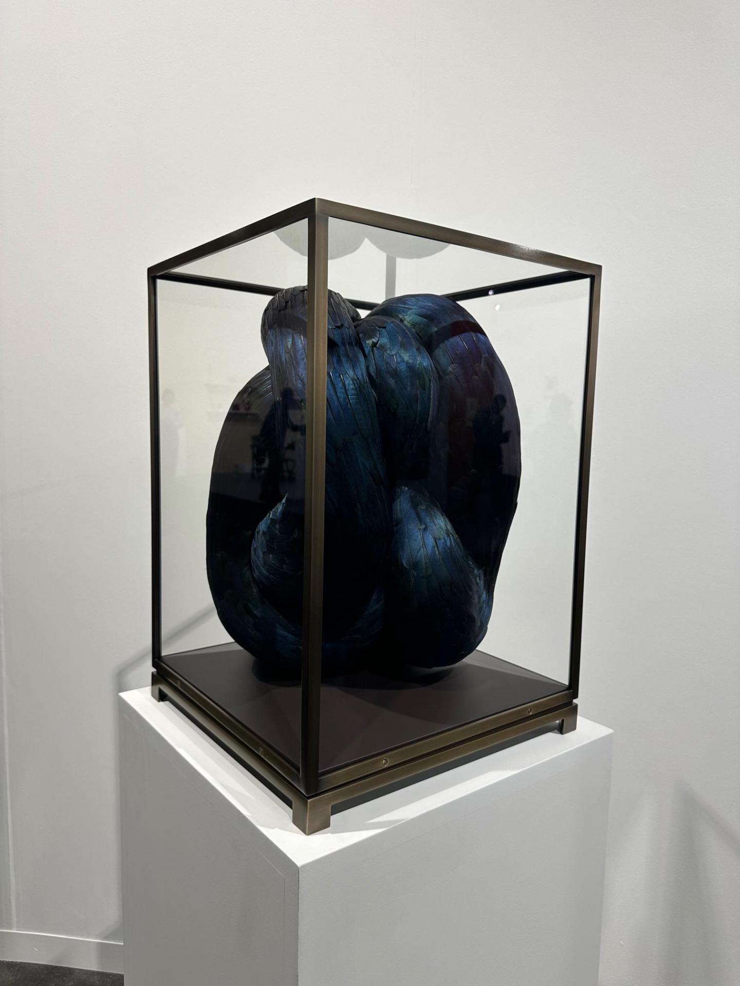 Kate MccGwire - Les Filles d Calvaire