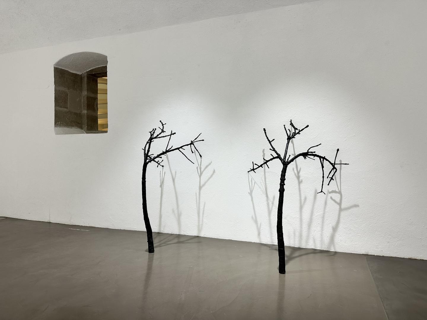 Andreas Eriksson Espace Muraille 