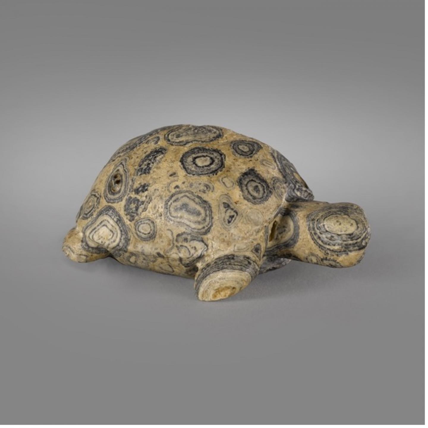 STATUETTE DE TORTUE Art proche-oriental, IVe mill. av. J.-C. Pierre calcaire L: 7.4 cm, ©Phoenix Ancient Art