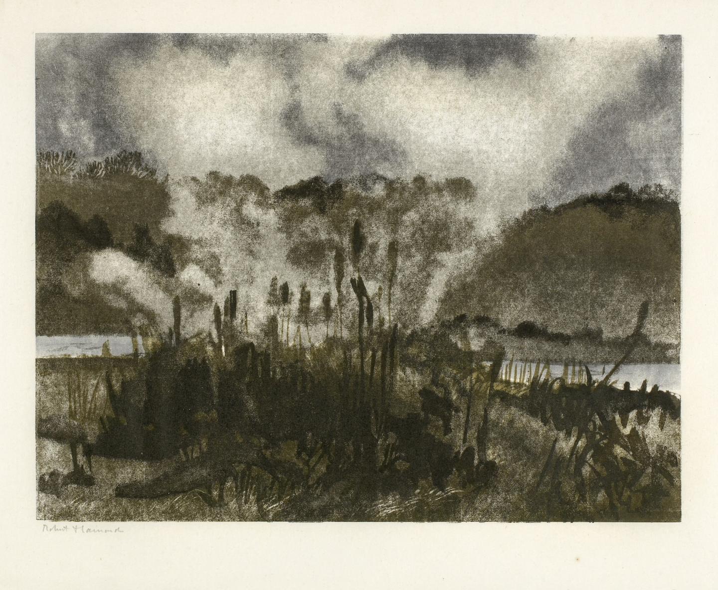 ® Fondation Hainard_Le brouillard derrière les roseaux givrés