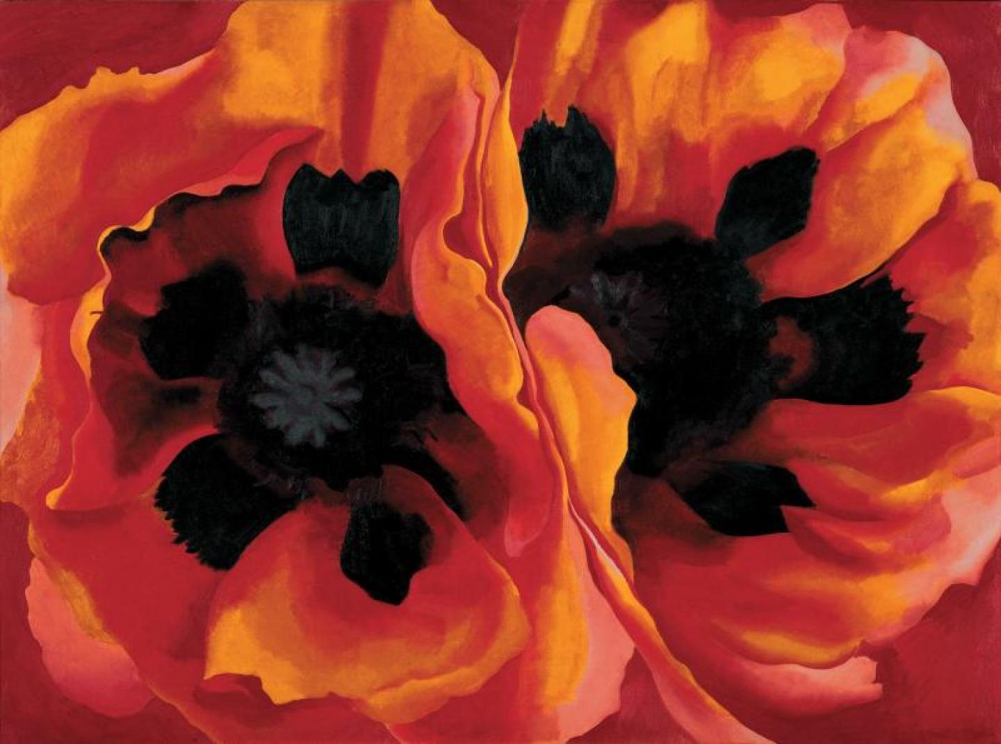 Georgia O'Keeffe, Oriental Poppies, 1927, @ Centre Pompidou